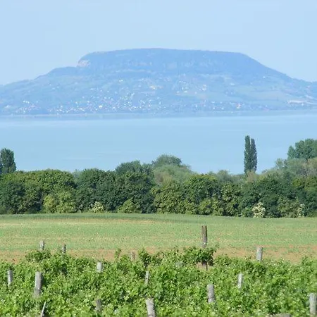 Bed and Breakfast Viktor Bor- Es Vendeghaz**** 3*