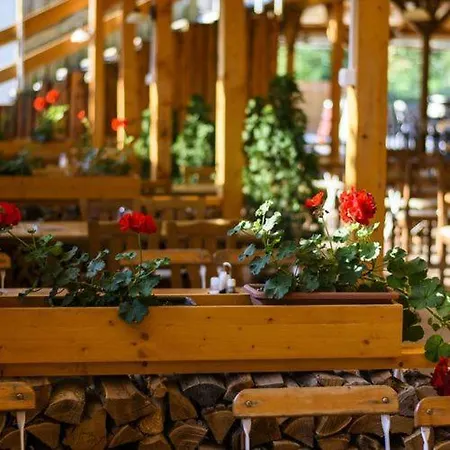 Bed and breakfast Viktor Bor- és Vendégház**** Balatonmáriafürdő