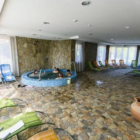 Viktor Bor- és Vendégház****