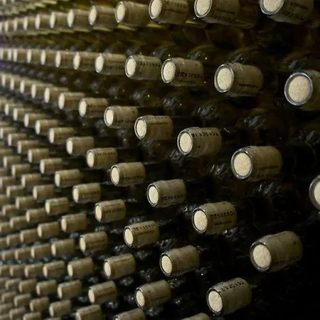 Viktor Bor- és Vendégház**** Bed and breakfast