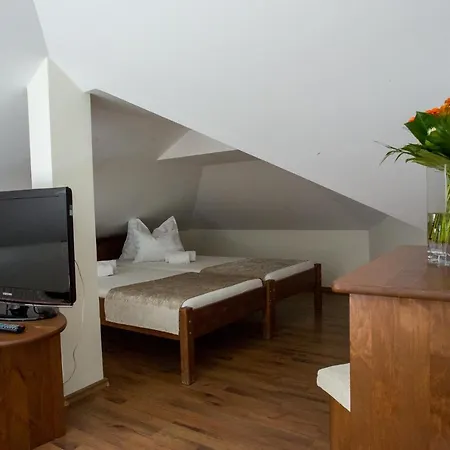 Viktor Bor- Es Vendeghaz**** Bed and Breakfast 3*