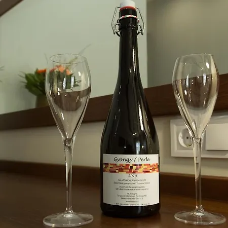 Bed and Breakfast Viktor Bor- Es Vendeghaz**** 3*