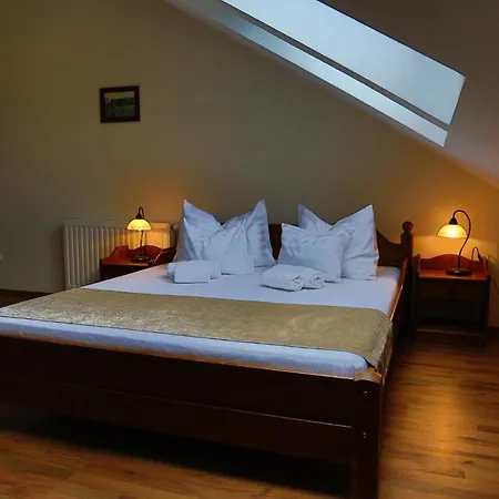 Viktor Bor- Es Vendeghaz****