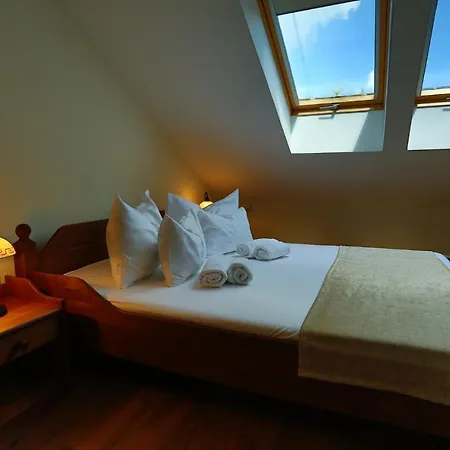 Bed and breakfast Viktor Bor- és Vendégház****