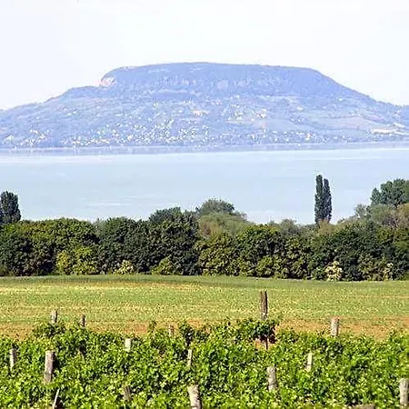 Panzió Viktor Bor- és Vendégház**** Balatonmáriafürdő