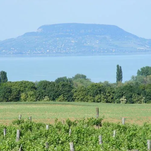 Bed & Breakfast Viktor Bor- Es Vendeghaz**** 3*