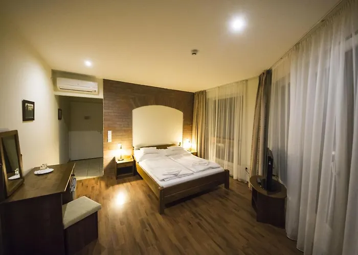 Viktor Bor- Es Vendeghaz****