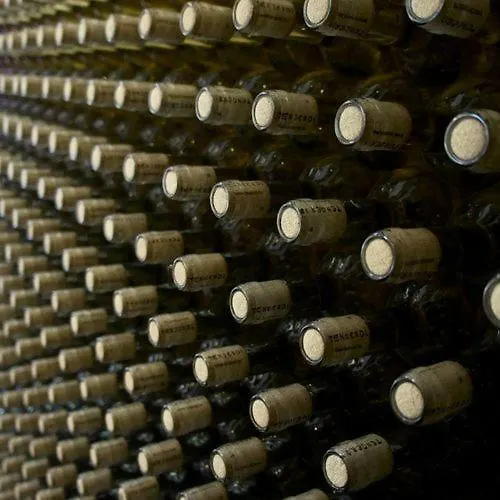 Viktor Bor- Es Vendeghaz**** B&B