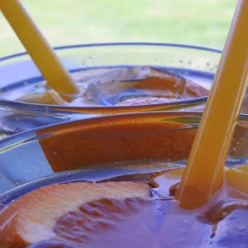 Viktor Bor- Es Vendeghaz**** B&B 4*