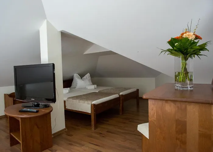 Viktor Bor- Es Vendeghaz**** Bed & Breakfast 3*