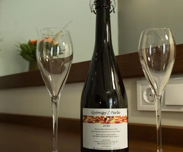 Bed & Breakfast Viktor Bor- Es Vendeghaz**** 3*