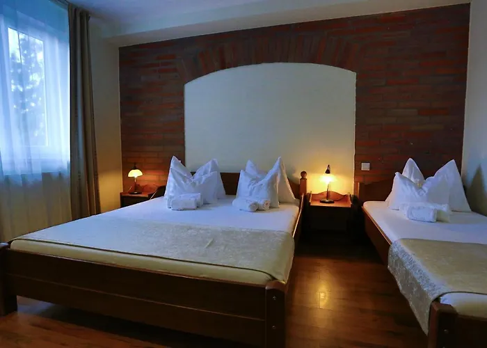 Viktor Bor- Es Vendeghaz****